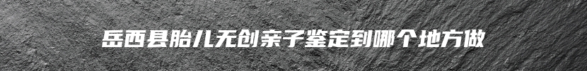 岳西县胎儿无创亲子鉴定到哪个地方做