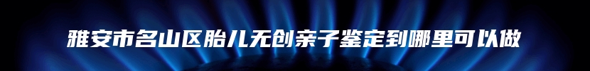 雅安市名山区胎儿无创亲子鉴定到哪里可以做