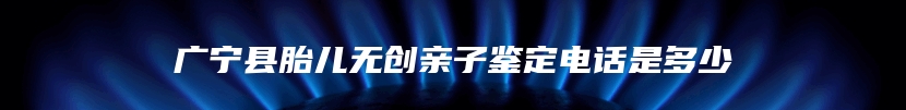 广宁县胎儿无创亲子鉴定电话是多少