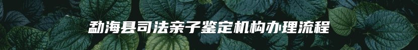 勐海县司法亲子鉴定机构办理流程