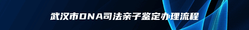 武汉市DNA司法亲子鉴定办理流程
