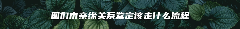 图们市亲缘关系鉴定该走什么流程