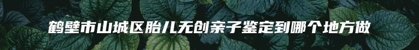 鹤壁市山城区胎儿无创亲子鉴定到哪个地方做