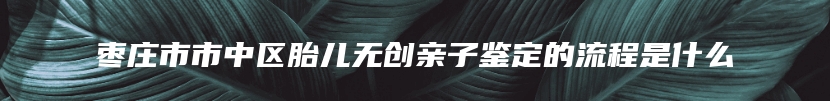 枣庄市市中区胎儿无创亲子鉴定的流程是什么
