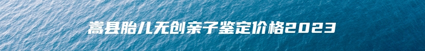 嵩县胎儿无创亲子鉴定价格2023