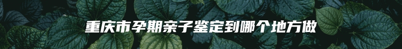 重庆市孕期亲子鉴定到哪个地方做