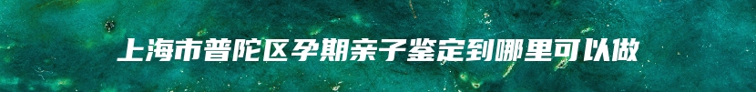 上海市普陀区孕期亲子鉴定到哪里可以做