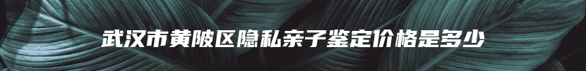 武汉市黄陂区隐私亲子鉴定价格是多少