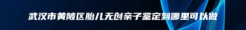 武汉市黄陂区胎儿无创亲子鉴定到哪里可以做