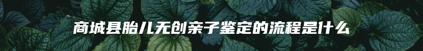 商城县胎儿无创亲子鉴定的流程是什么