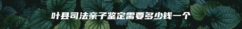 叶县司法亲子鉴定需要多少钱一个