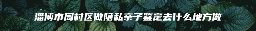 淄博市周村区做隐私亲子鉴定去什么地方做