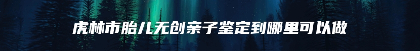虎林市胎儿无创亲子鉴定到哪里可以做