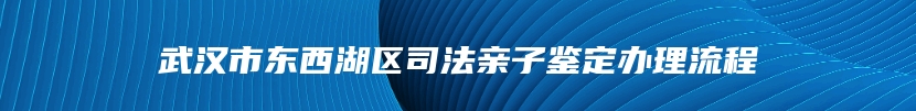 武汉市东西湖区司法亲子鉴定办理流程