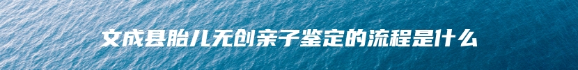 文成县胎儿无创亲子鉴定的流程是什么