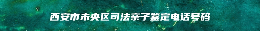 西安市未央区司法亲子鉴定电话号码