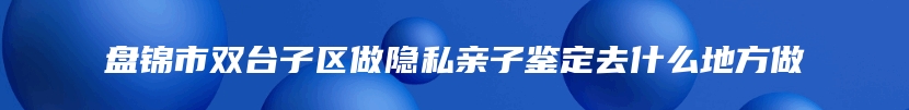 盘锦市双台子区做隐私亲子鉴定去什么地方做