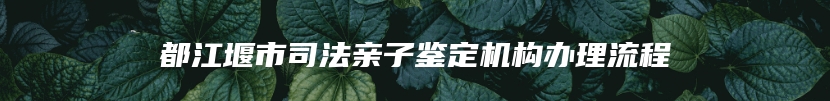 都江堰市司法亲子鉴定机构办理流程