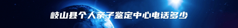岐山县个人亲子鉴定中心电话多少