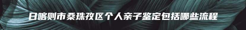 日喀则市桑珠孜区个人亲子鉴定包括哪些流程