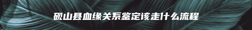 砚山县血缘关系鉴定该走什么流程