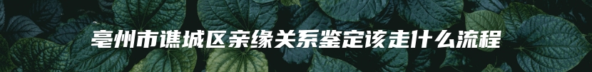 亳州市谯城区亲缘关系鉴定该走什么流程