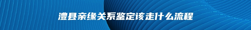 澧县亲缘关系鉴定该走什么流程