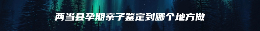 两当县孕期亲子鉴定到哪个地方做