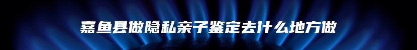 嘉鱼县做隐私亲子鉴定去什么地方做