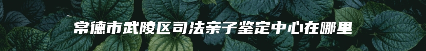 常德市武陵区司法亲子鉴定中心在哪里