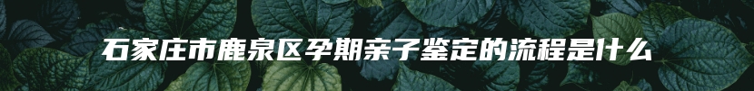 石家庄市鹿泉区孕期亲子鉴定的流程是什么