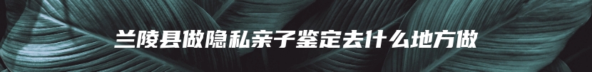 兰陵县做隐私亲子鉴定去什么地方做