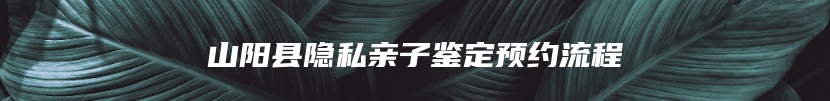 山阳县隐私亲子鉴定预约流程