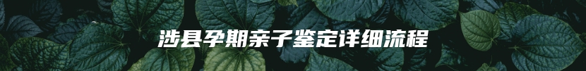 涉县孕期亲子鉴定详细流程