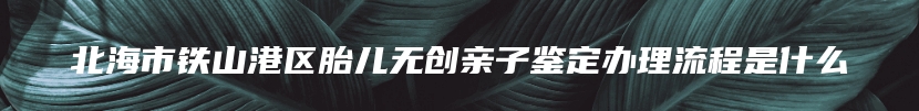 北海市铁山港区胎儿无创亲子鉴定办理流程是什么