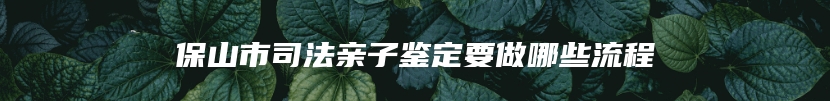 保山市司法亲子鉴定要做哪些流程