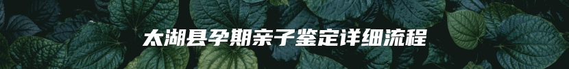 太湖县孕期亲子鉴定详细流程