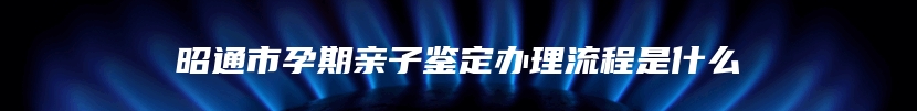 昭通市孕期亲子鉴定办理流程是什么