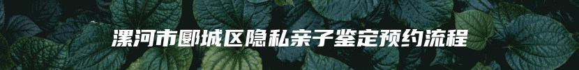 漯河市郾城区隐私亲子鉴定预约流程