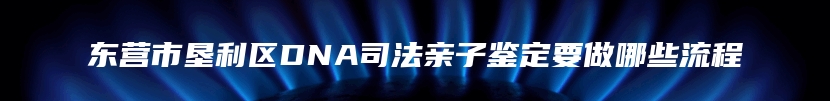东营市垦利区DNA司法亲子鉴定要做哪些流程