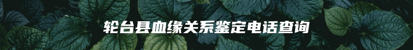 轮台县血缘关系鉴定电话查询