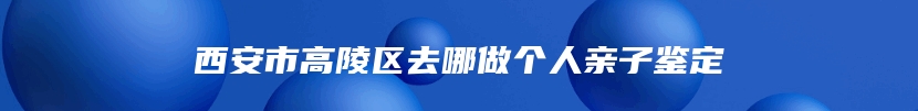 西安市高陵区去哪做个人亲子鉴定
