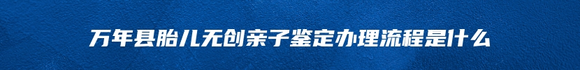 万年县胎儿无创亲子鉴定办理流程是什么