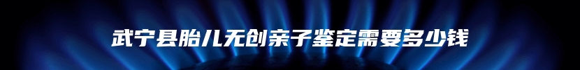 武宁县胎儿无创亲子鉴定需要多少钱