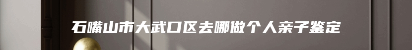 石嘴山市大武口区去哪做个人亲子鉴定