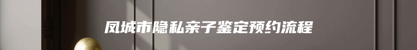 凤城市隐私亲子鉴定预约流程