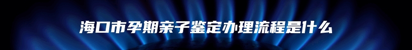 海口市孕期亲子鉴定办理流程是什么