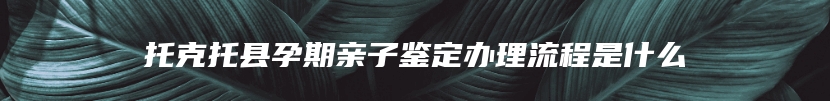 托克托县孕期亲子鉴定办理流程是什么