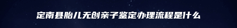 定南县胎儿无创亲子鉴定办理流程是什么