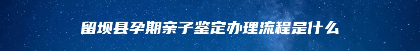 留坝县孕期亲子鉴定办理流程是什么